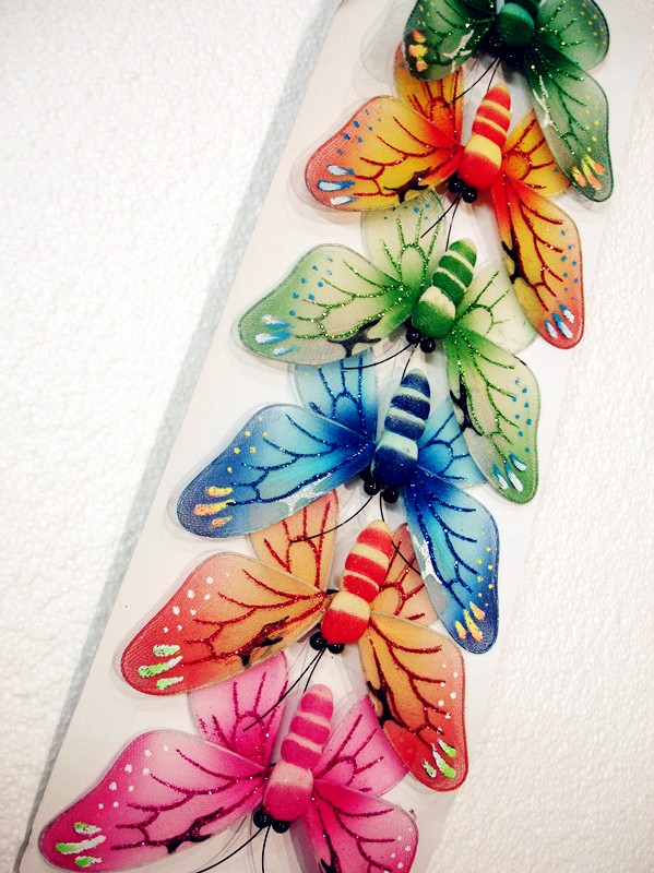 Mini Butterfly 4
