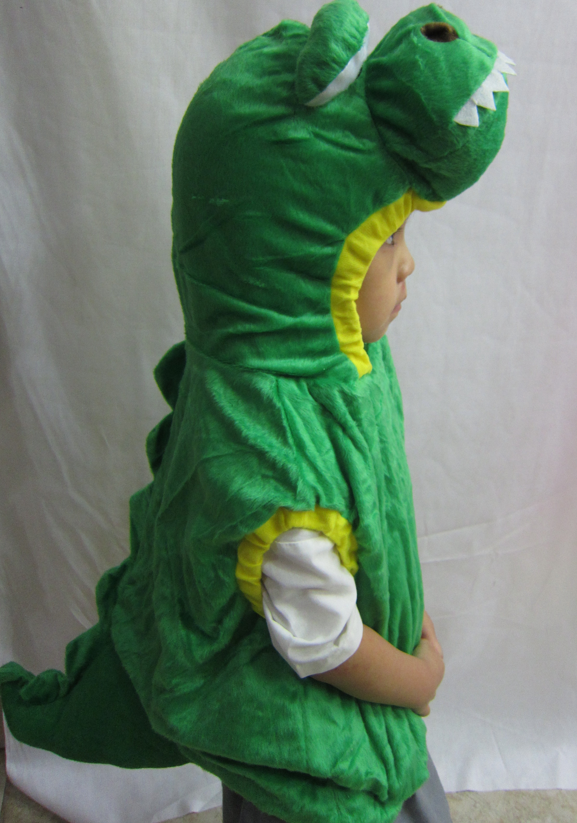 Green Dino Costume
