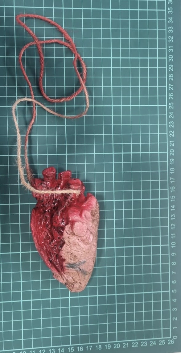 Heart