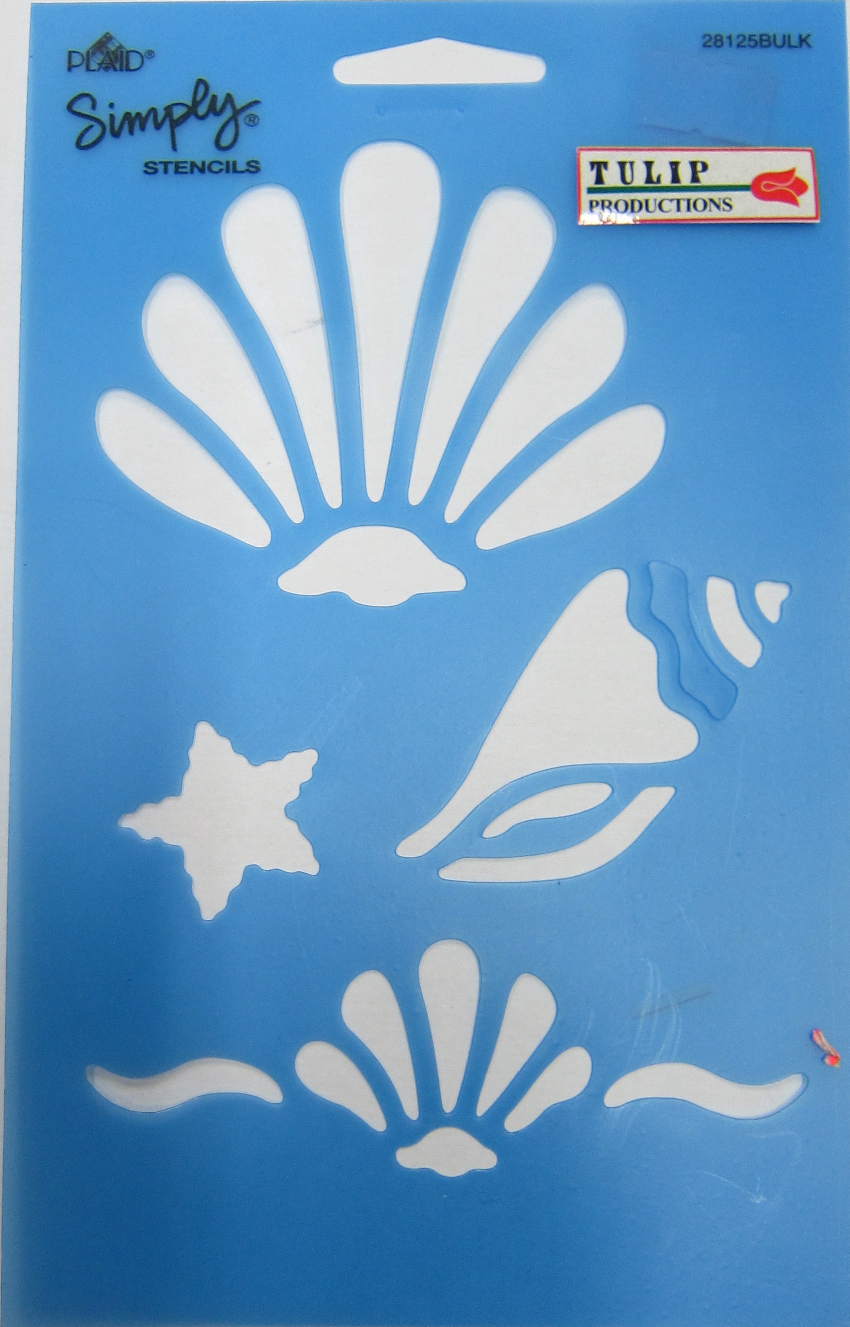 Sea Shell