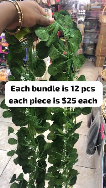 Vine